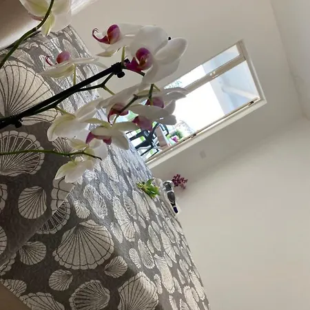 A Casa Di Manu * Capo Vaticano