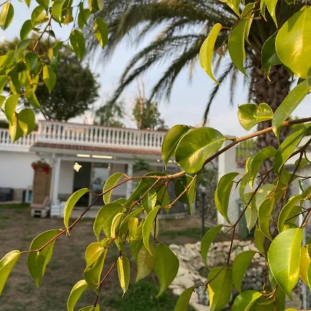 Apartment Mazzitelli Capo Vaticano