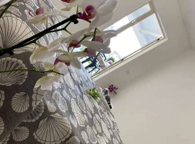 A Casa Di Manu * Capo Vaticano