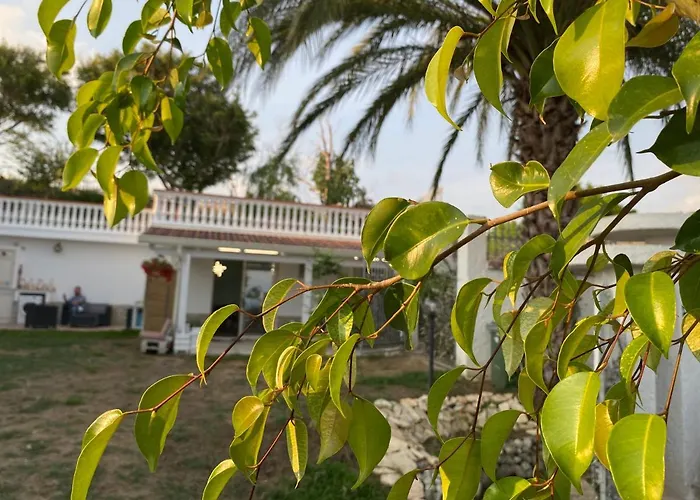 Apartman A Casa Di Manu Capo Vaticano